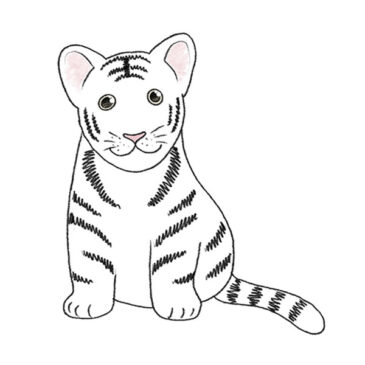 How to Draw a White Tiger