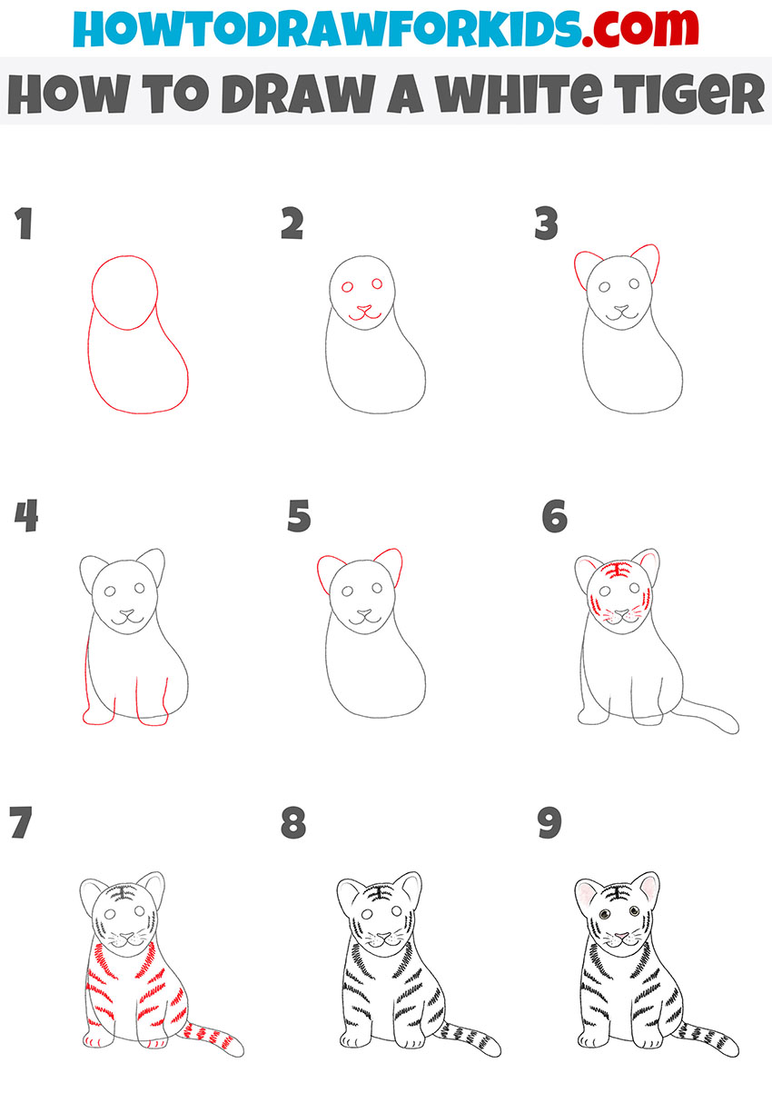 how to draw a white tiger step by step
