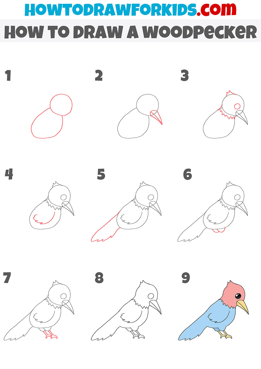 how to draw a woodpecker step by step