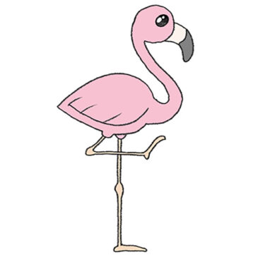 How to Draw an Easy Flamingo