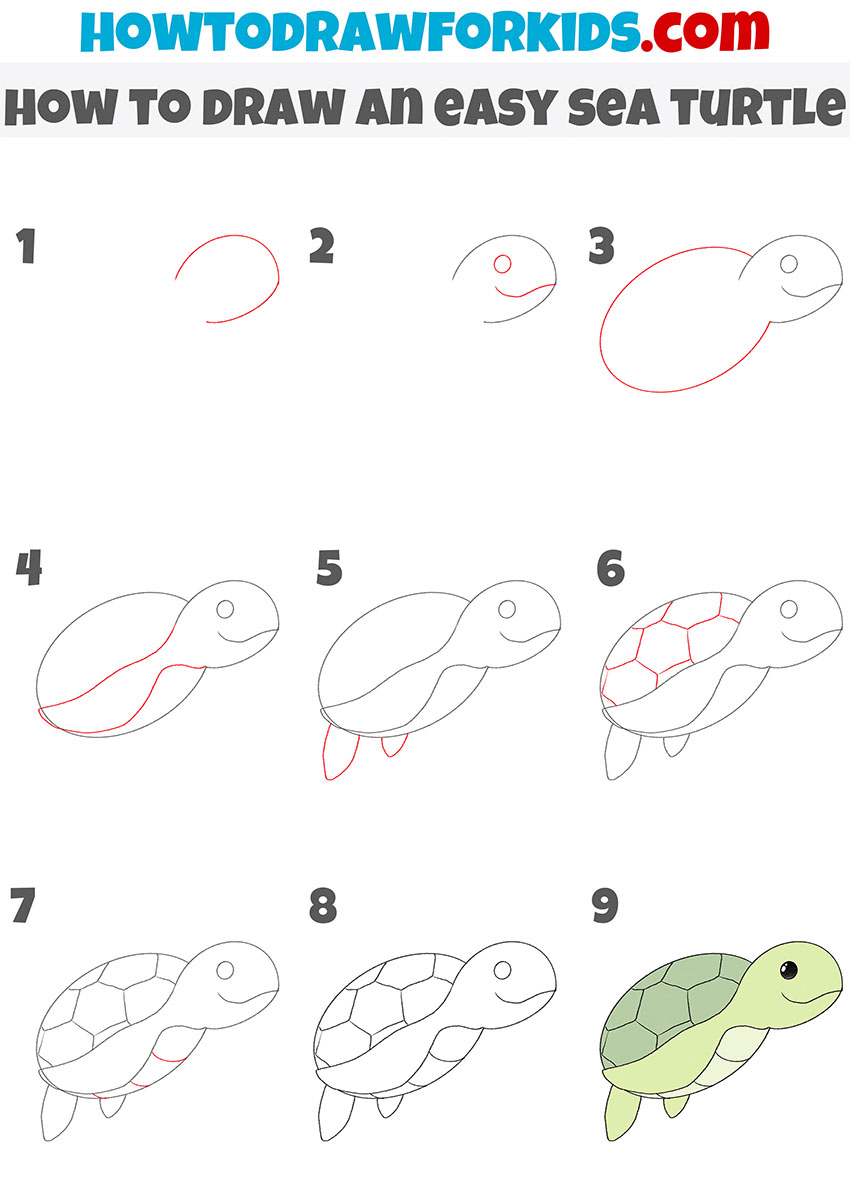 how to draw an easy sea turtle step by step