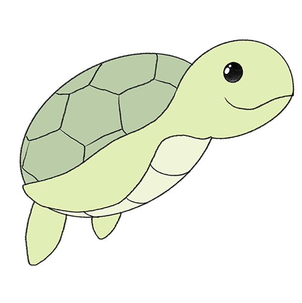 How to Draw an Easy Sea Turtle  Easy Drawing Tutorial For Kids