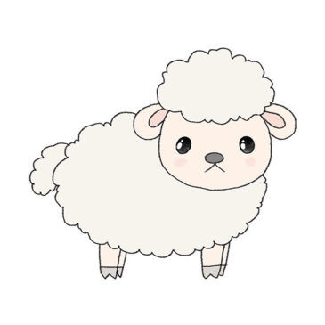 How to Draw an Easy Sheep