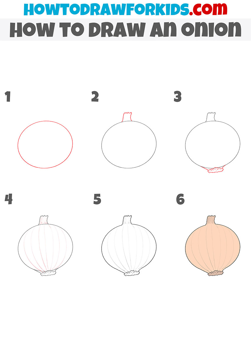 how to draw an onion step by step