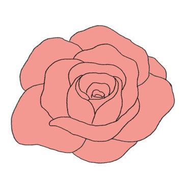 How to Draw an Open Rose