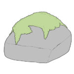 How to Draw Moss