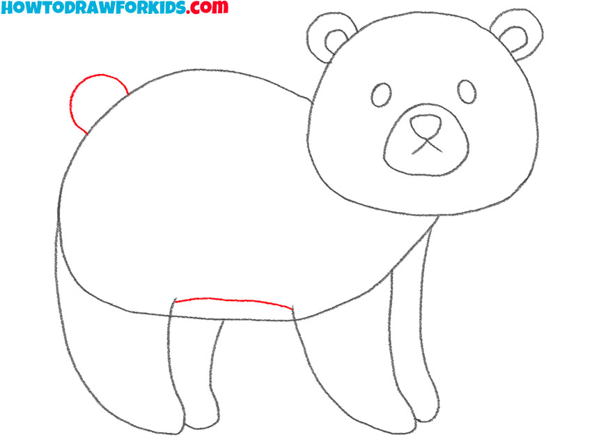 how to draw a cartoon bear