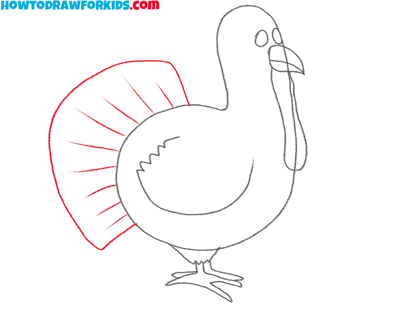 how to draw a turkey for beginners