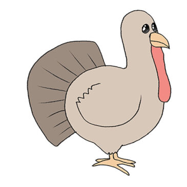 How to Draw a Turkey Step by Step