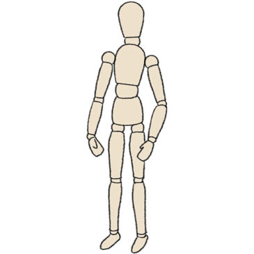 Human Body Proportions