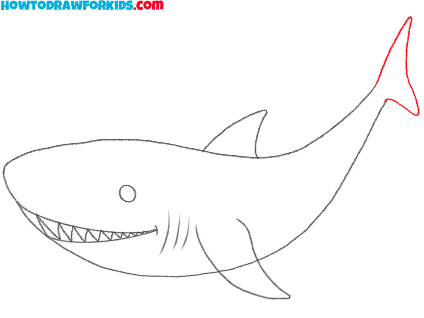 Draw the tail fin of the shark