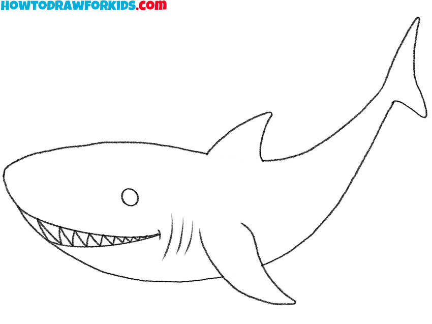 Review your cartoon shark sketch and erase the guidelines
