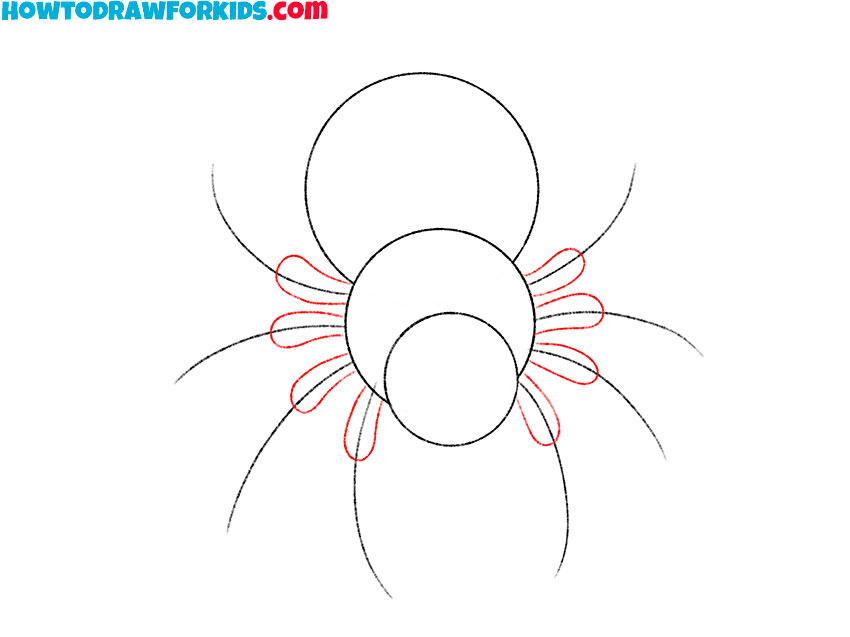 how to draw a cute tarantula