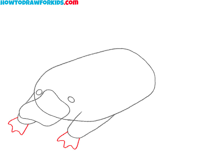 how to draw a platypus easy