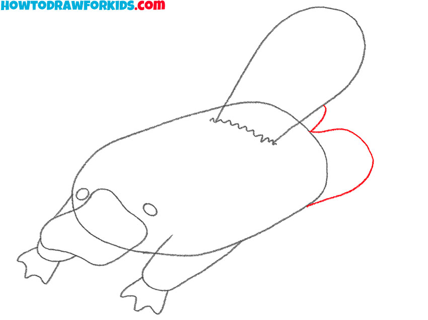 how to draw a platypus step by step easy