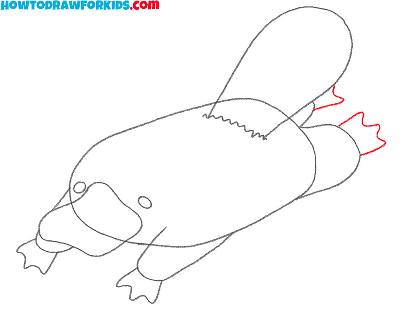 step by step how to draw a platypus