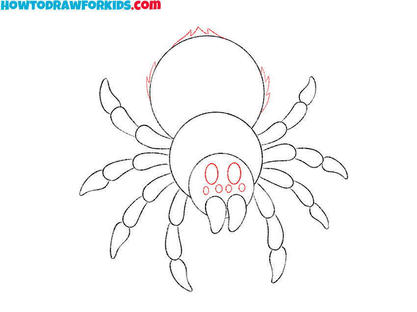 tarantula drawing guide