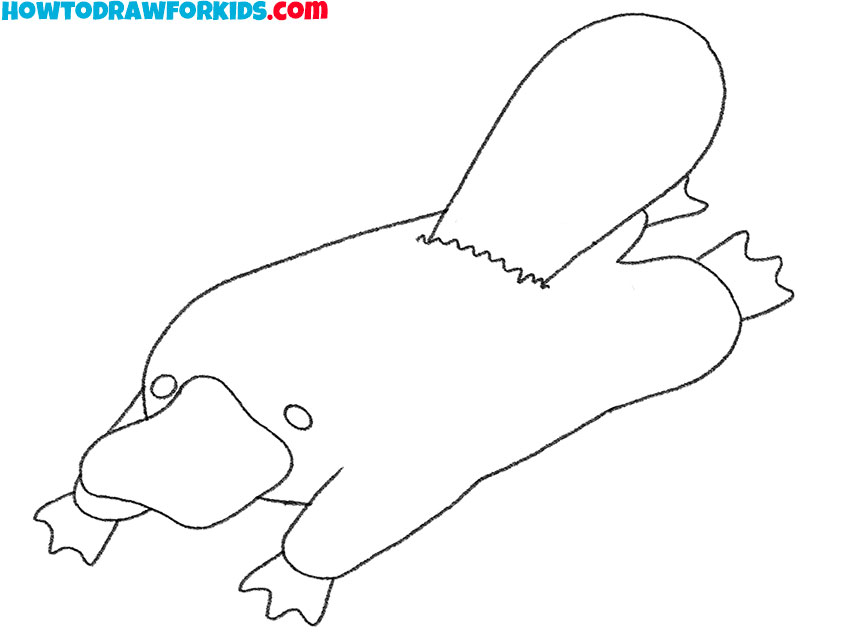 how to draw a cartoon platypus