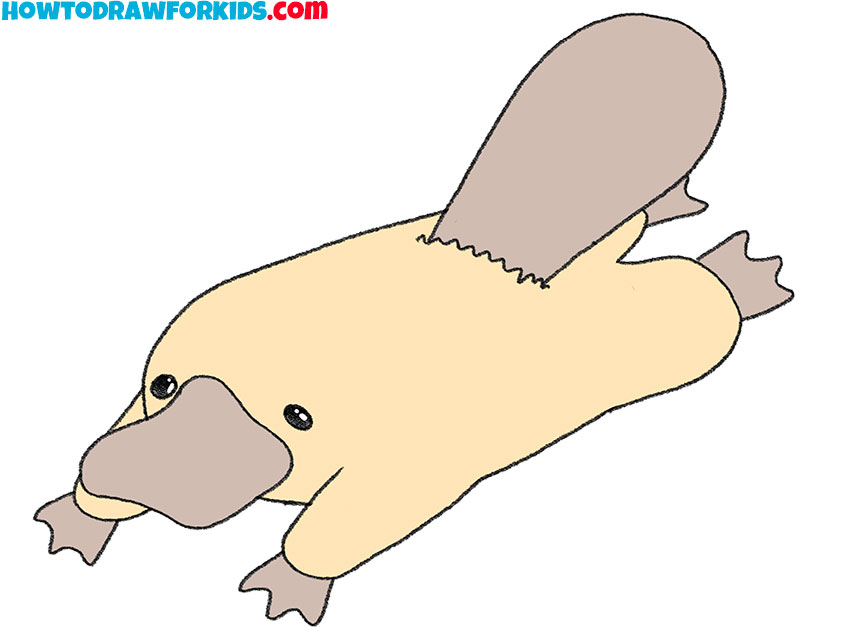 how to draw a platypus cute