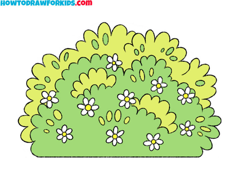 How to Draw a Shrub Easy Drawing Tutorial For Kids