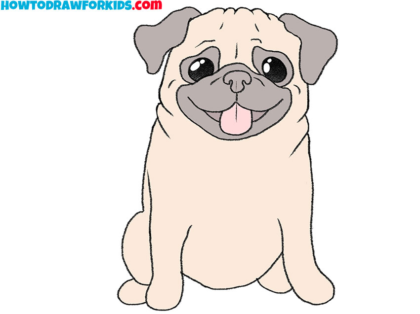 Apply colors to the pug drawing