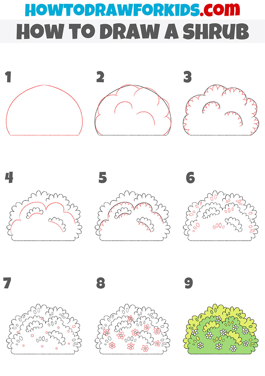 how to draw a shrub step by step