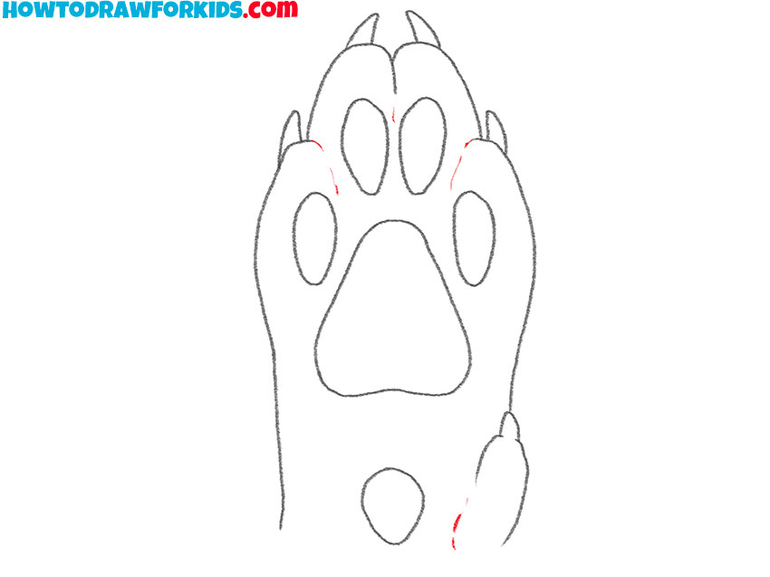 wolf paw drawing step by step