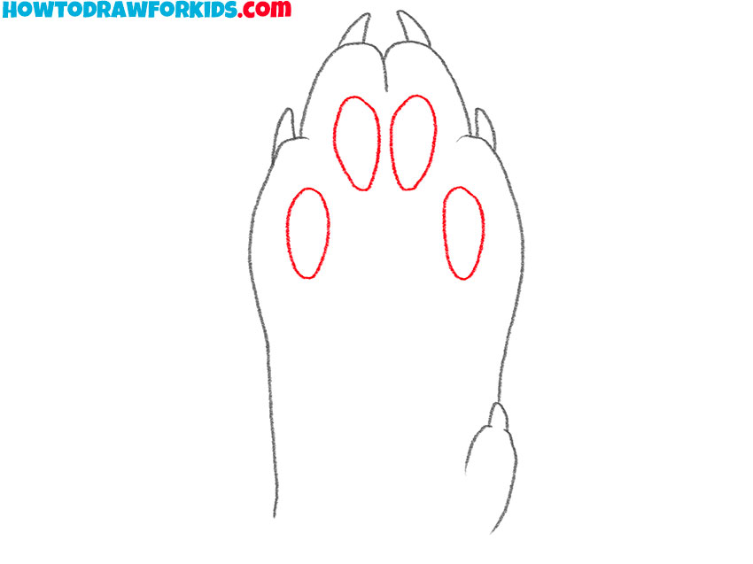 Illustrate the paw pads