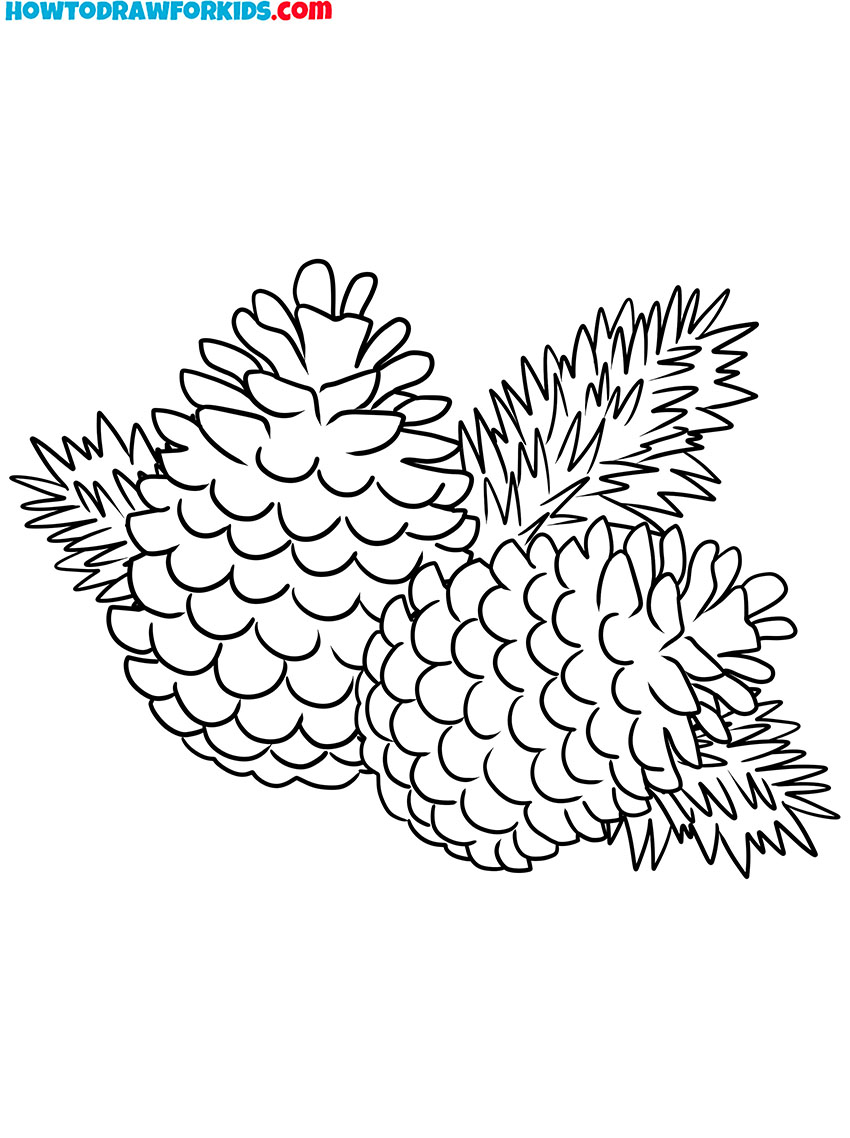 pine cones winter coloring pages