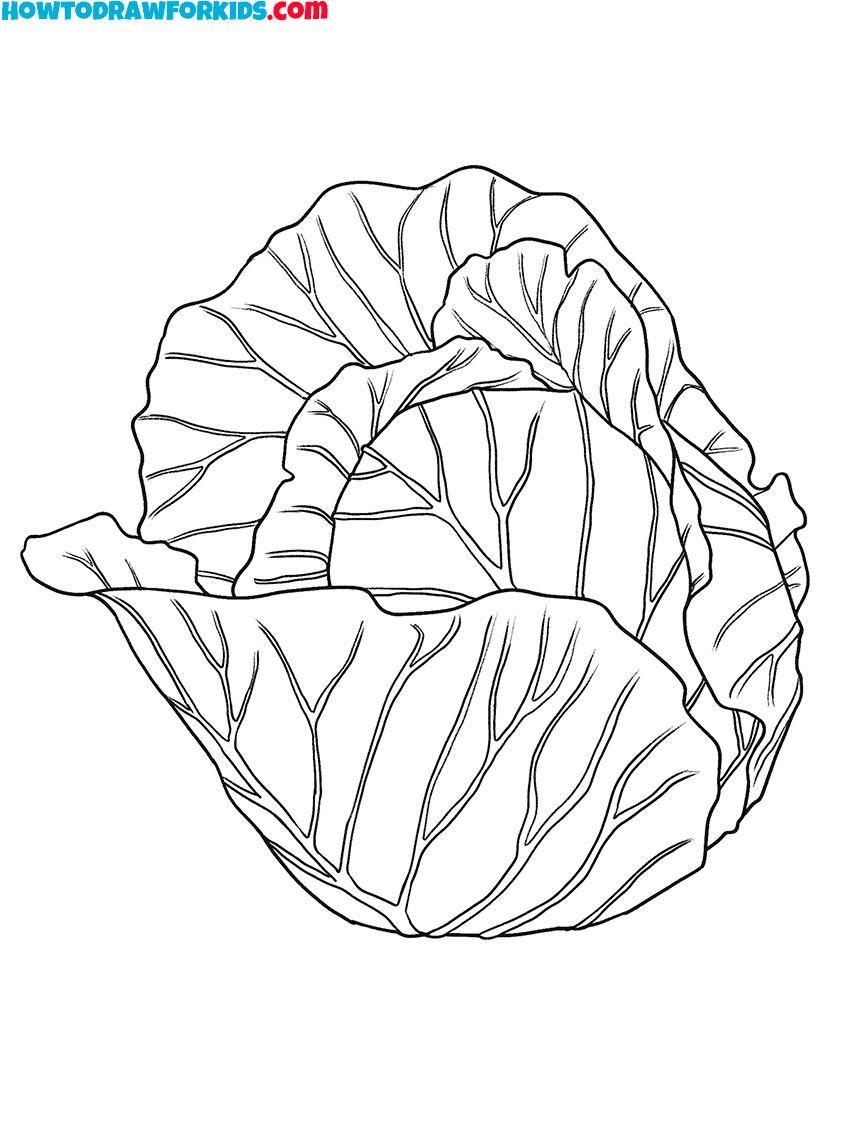 cabbage vegetables coloring pages