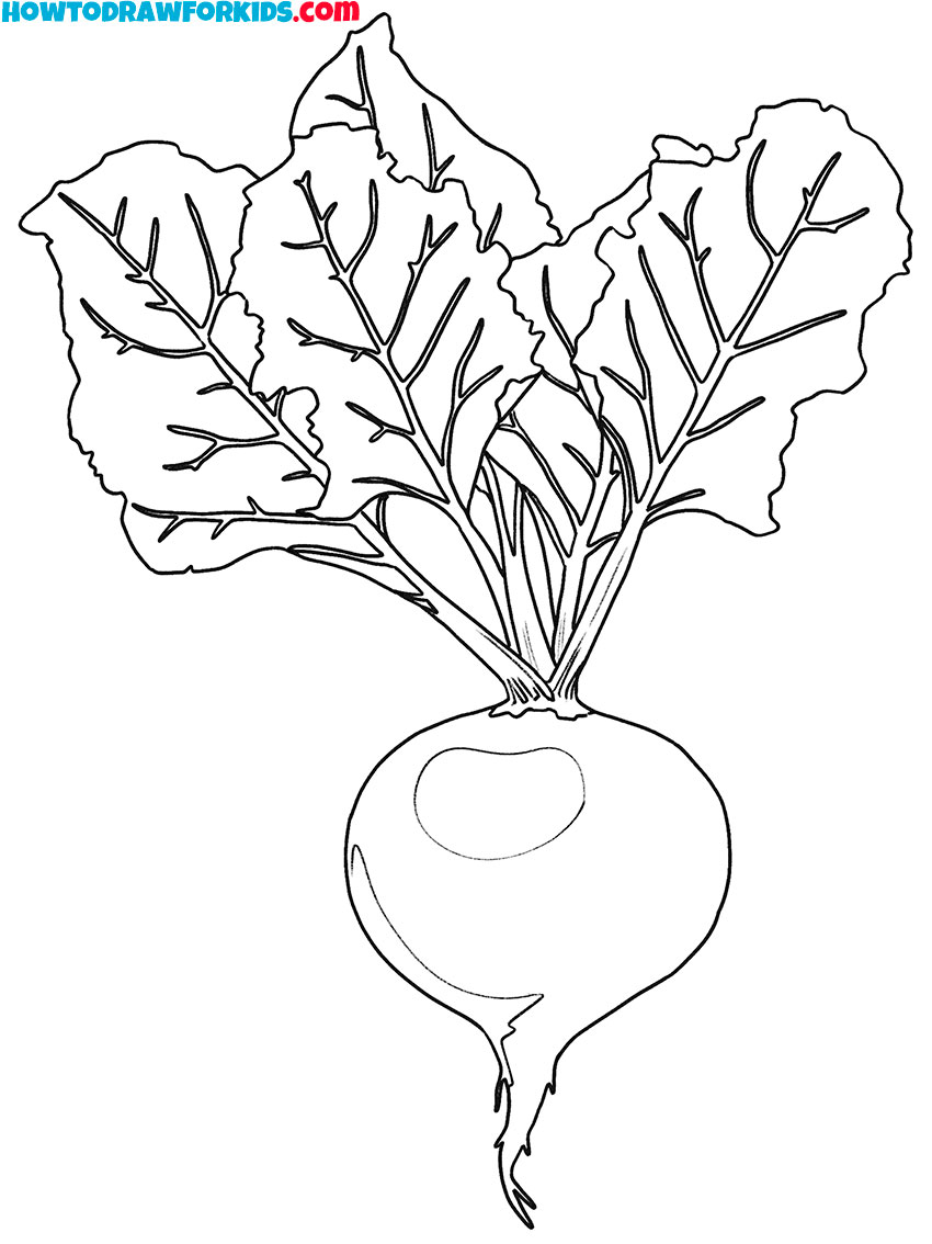 radishes vegetables coloring pages