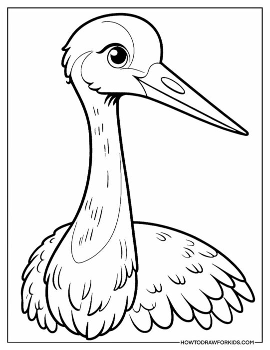Bird Crane Close Perspective Coloring Page