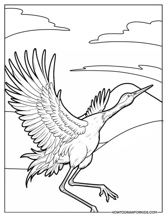 Bird Crane Detailed Wings Coloring Sheet