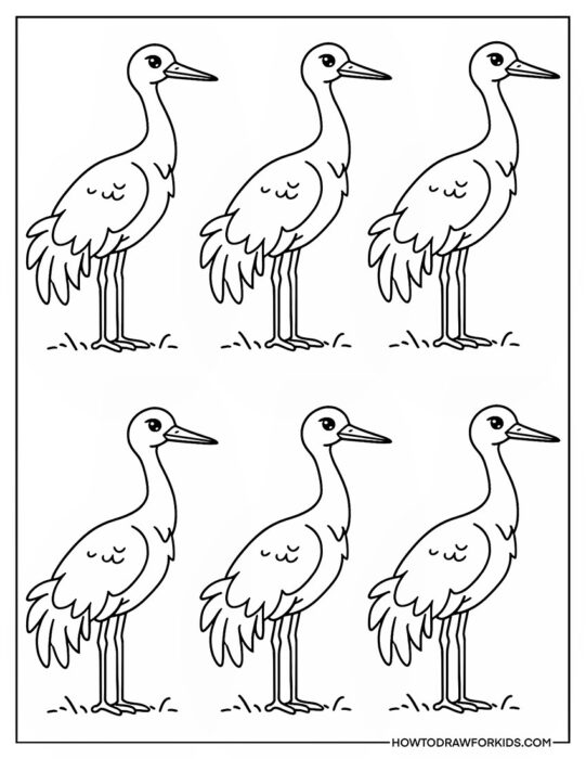 Cartoon Crane Birds Coloring PDF