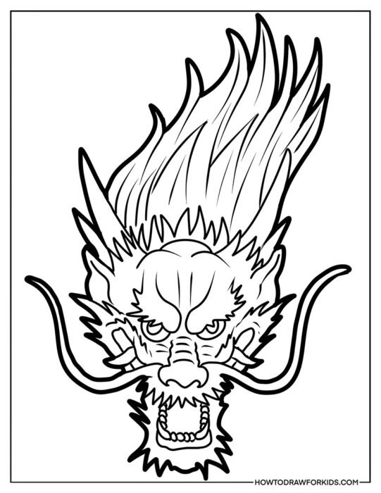 Chinese Dragon Head Coloring Book