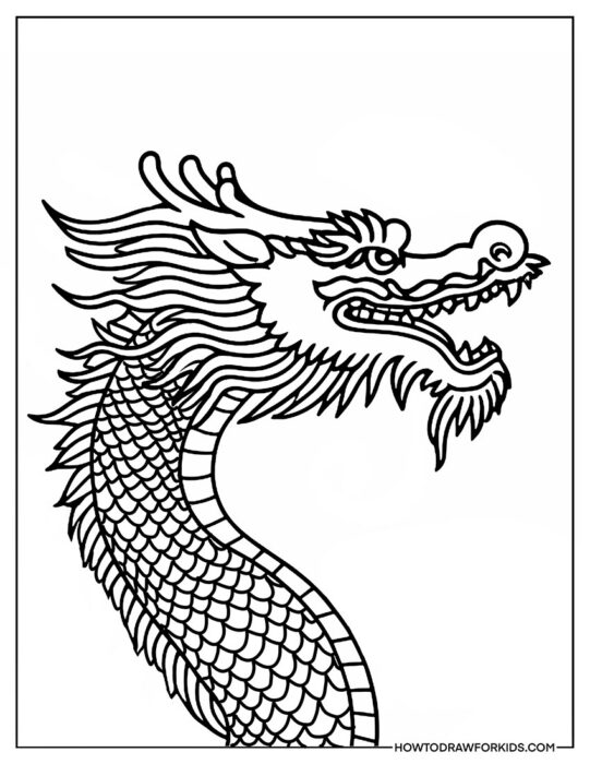 Chinese Dragon Head Side View Coloring PDF