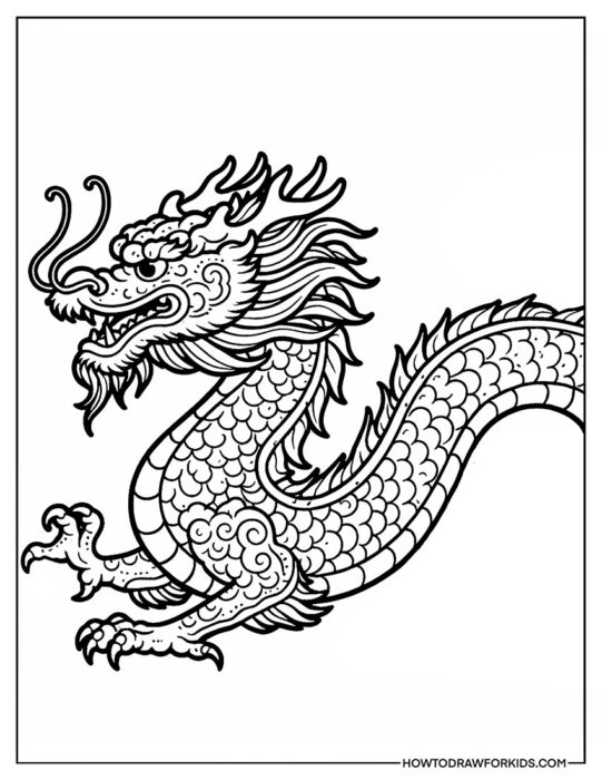 Chinese Dragon Side View Coloring Book