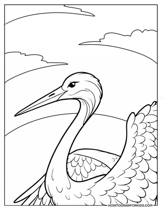 Crane Bird Closeup Coloring Printable
