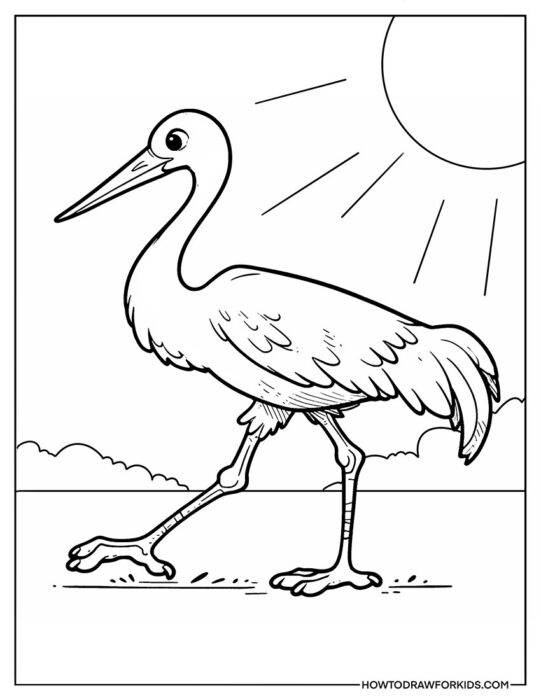 Crane Bird Walking Coloring Printable