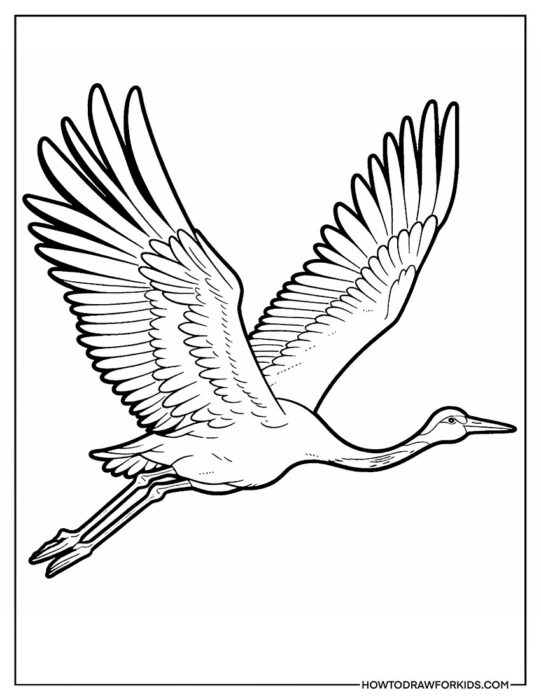 Crane Bird in Flight Coloring Book