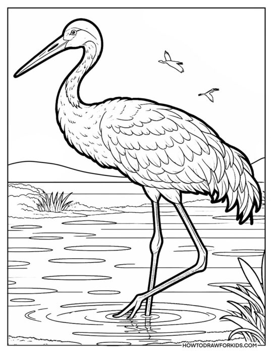 Crane Bird in a Pond Coloring Page
