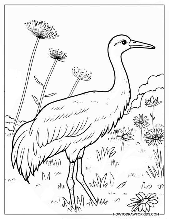 Crane Bird on the Field of Flowers Coloring Sheet