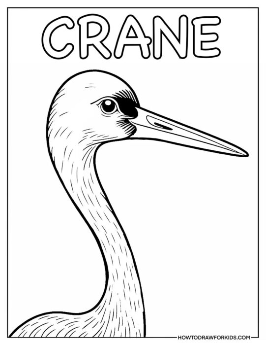 Crane Bird with Inscription Coloring Page