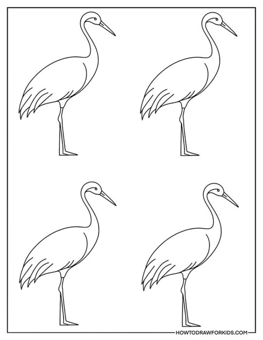 Crane Birds Coloring Page