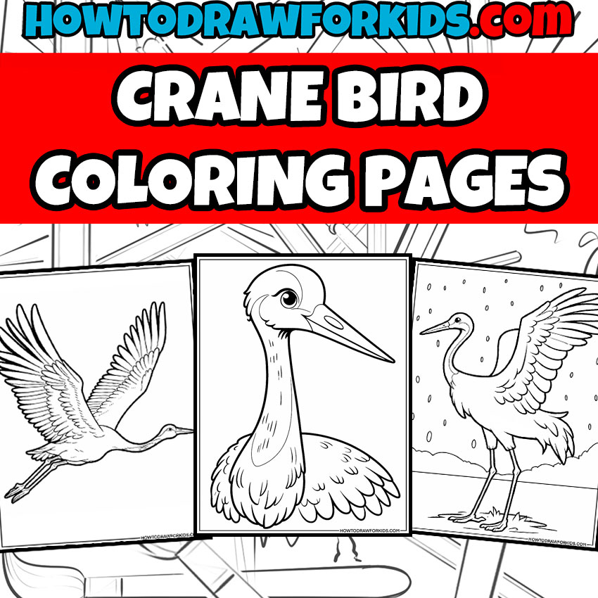 Crane bird coloring pages featured image