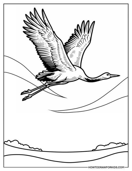 Detailed Coloring Page of Crane Bird in Flight