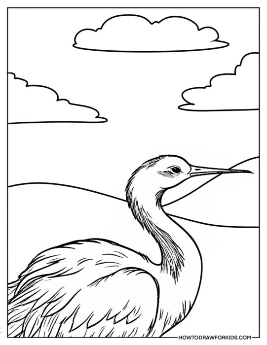 Easy Crane Bird Coloring Page