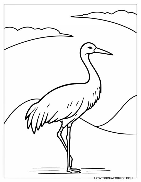 Free Crane Bird Coloring Printable