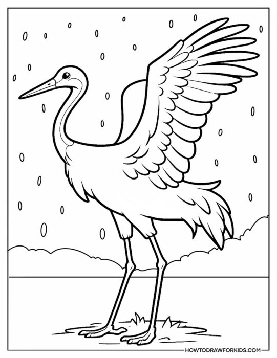 Funny Crane Bird Coloring Page