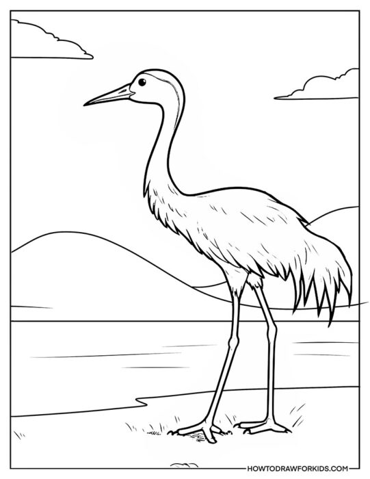 Realistic Crane Bird Coloring Sheet